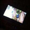 hyo hee roh - @wandaland7 - Twitter