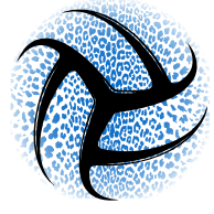 LadyLepsVball (@lepsvball) 's Twitter Profile Photo