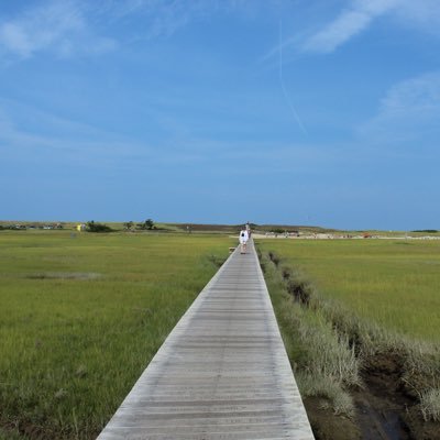 I live on Cape Cod and love sharing the beauty of this place with others. I’m a mom of 3, my children are my everything.