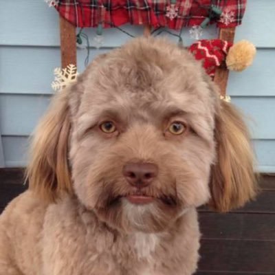 sunbutter_MD's profile picture. Official SunButter MD Twitter account