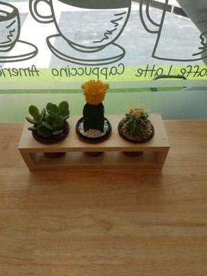 QCa4iF45iINZpy7's profile picture. สั้นๆ