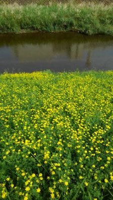 ANews83's profile picture. アイラです。頑張ります💖