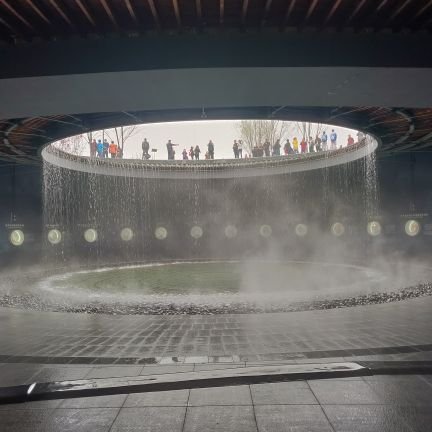 DongyangWANG's profile picture. 