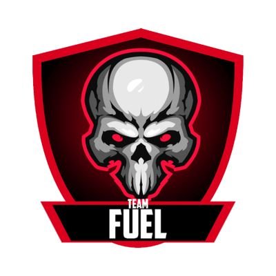 TEAMFUEL4's profile picture. TEAM de fortnite i más juegos para hacer pruebas avisar por priv