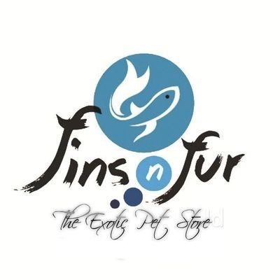 Aquarist, pet lover,animal rescuer,nature lover...