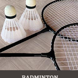 Noida badminton