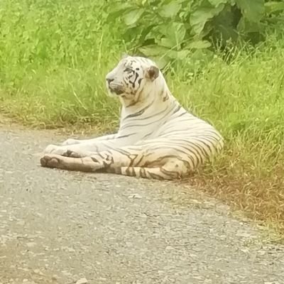 amityoung99's profile picture. 