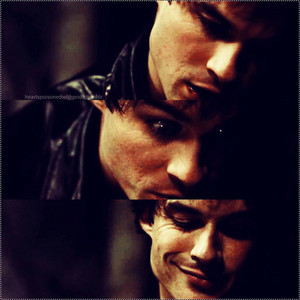 NotIanSomer's profile picture. 