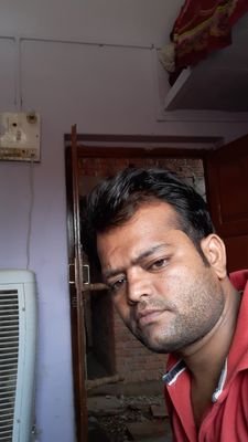 VickyGu48730261's profile picture. 