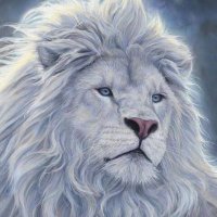 mdonyolengai (@ngaloalvin) 's Twitter Profile