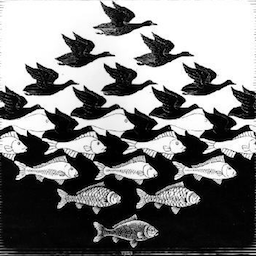 mauptnr's profile picture. 