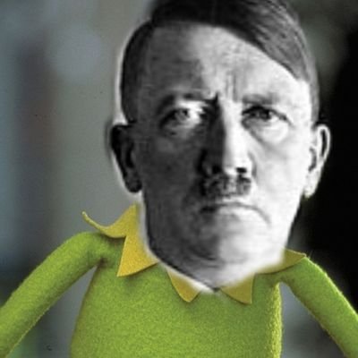 fastfox01948442's profile picture. Kermit