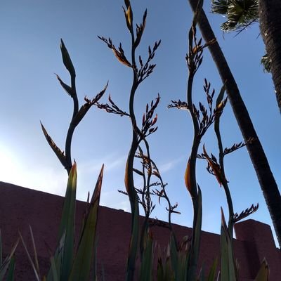 galindos_ens1's profile picture. 