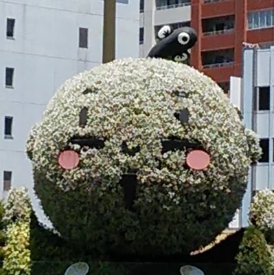 興味があるのは、都市伝説。歴史。心霊。漫画。小説。UFOキャッチャー。YouTube。ですかね(~_~)
DM✉️は、対応していません❌