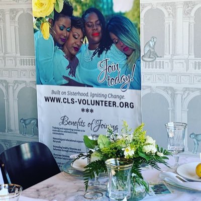 National Women's volunteerism organization. Foot soldiers for CA, GA FL NC, DC, TX and Arizona based charitable organizations.