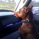 Michael Button - @Mbprogolf - Twitter