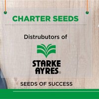 Charterseedsofficial (@charterseeds) 's Twitter Profile