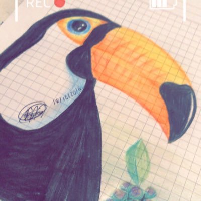 anelccha's profile picture. 