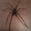 Justin Baier - @sn0wfl4kes - Twitter