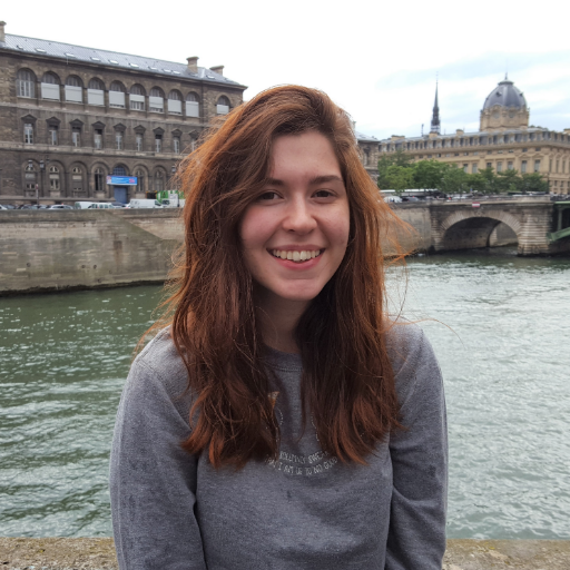 Neuroscientist. PhD student @SPILabKCL // Early-life stress and immunopsychiatry 🧠