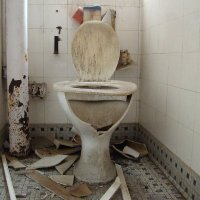 Cuntdumper (@cuntdumper) 's Twitter Profile