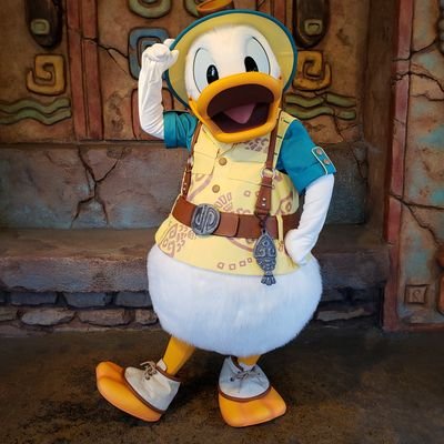 D89037241's profile picture. 低浮上ぎみのD垢🏰/ドナルド🐥💕/遠方のため皆様のツイートから情報と癒しを吸収/相互希望 パルパルーザの第2弾がﾄﾞﾅｲﾍﾞと決まって心底嬉しい人💙願わくばｵｰｻﾏ復活🙏
