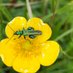 Bishops Waltham Wildlife (@bwwildlife) Twitter profile photo Bishops Waltham Wildlife (@bwwildlife) Twitter profile photo
