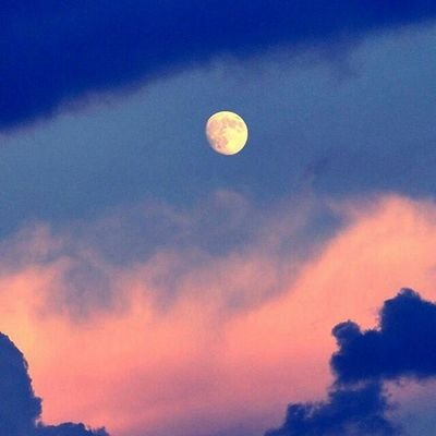 LanguageTwitt's profile picture. It waz bad 
i want to forget it
but i can't 
it disturbs my future