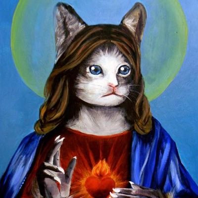 Cat Jesus