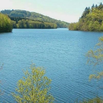 ThomasBackes8's profile picture. 