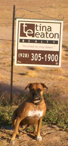 TinaEatonRealty's profile picture. Tina Eaton Realty Specialize in Yuma County Relocation,REO's, Foreclosures, Short Sales, Bank Owned | We assist Buyers, Sellers & Investors