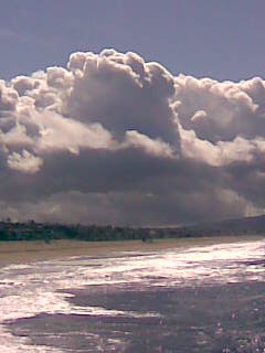 calkid357's profile picture. Going to catch a 🌊 and see where it takes me!