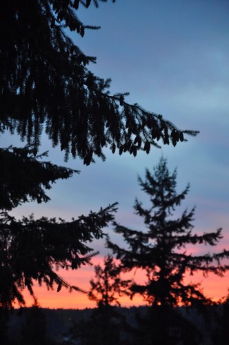 DixieKPeck's profile picture. Copyrighter, Photojournalist, Advertising & Marketing Exec.
Commercial & Multi-medium Artist