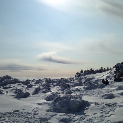 _questar's profile picture. 