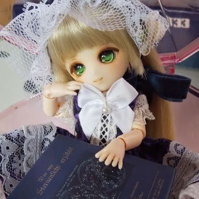 スロードールライフなドール活動をしてますので動き少ないかもです。ドールのロージアちゃん、春霞(しゅんか)さんと暮らしてます。それぞれパラボックスアンジェラsヘッド、オビツ27ヘッド自カスタムのヘッドです。