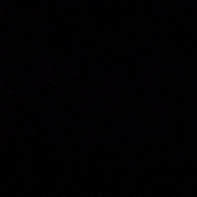 quantum_daniel's profile picture. 