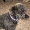 Deb Laxson - @DebDayLax - Twitter