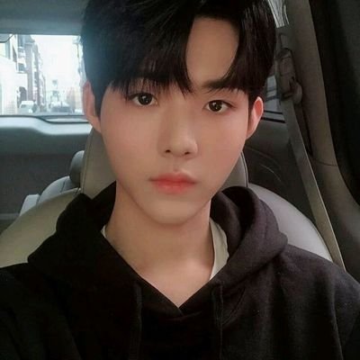 Mdmllee's profile picture. (๑•̀ㅂ•́)✧