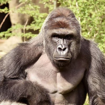 mjBoycX0dlwXTDb's profile picture. 