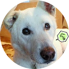 tateito8's profile picture. ゲーム配信で一番の推しの話は裏でしてます！ 音楽はまらおくん キャラはふなちゃん その他 好きな方大勢…(^^)  𝐈𝐧𝐬𝐭𝐚𝐠𝐫𝐚𝐦:https://t.co/kTkpPmNyDr