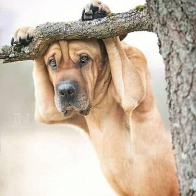 I am cool headed person looking out for new experience and happiness everyday......