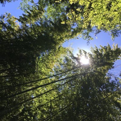 danyakukokuhuku's profile picture. 半年以上飲んでたイフェクサーSRが突然薬疹を起こした。私には合ってると思ってた。そこからの一気断薬を目指し中。日々の闘病日記