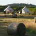 Herefordsh' Glamping (@glampinghere) Twitter profile photo Herefordsh' Glamping (@glampinghere) Twitter profile photo