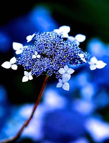 4jJhqlDgOPO1hCw's profile picture. 