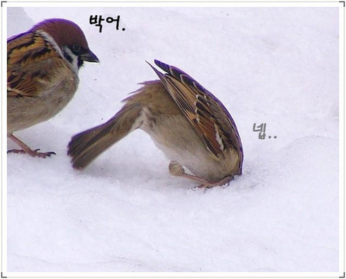 ddoridori's profile picture. 참 살만한것 같기도 하고 아닌거 같기도 하고 .... 에이... 뎅장