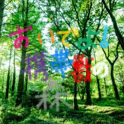 おいでよ！携帯獣の森さんのプロフィール画像