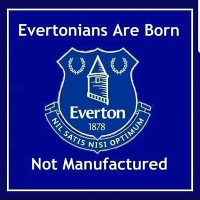 number 1 crane driver stella drinker evertonian sarcasm is my language
