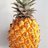 foodiesonline's profile image