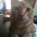 Ellen Ernst - @ellenernie - Twitter