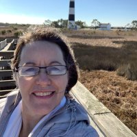 rita lowery (@loweryrm) 's Twitter Profile